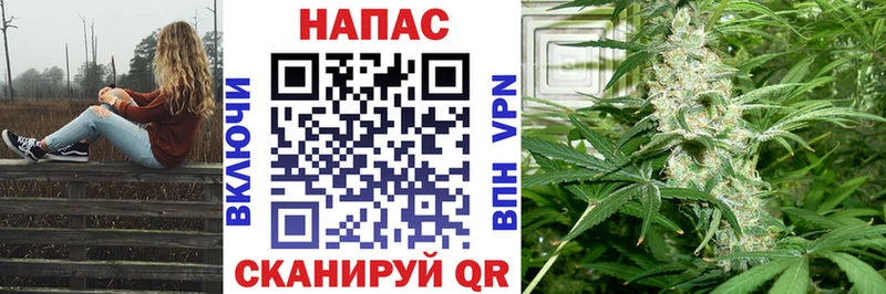 Codein Железноводск