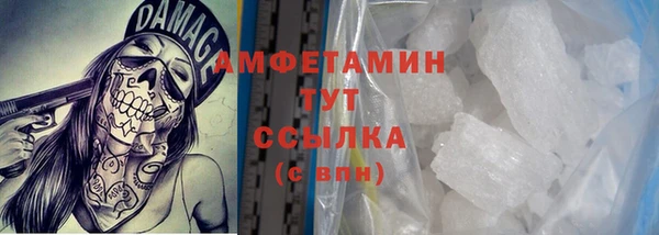 твердый Гусев