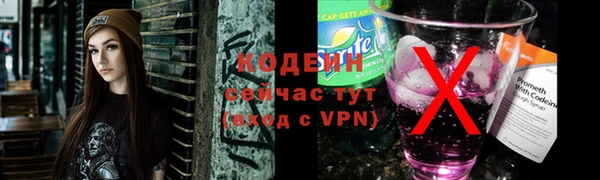 твердый Гусев
