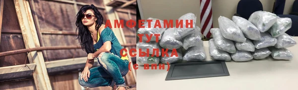 твердый Гусев