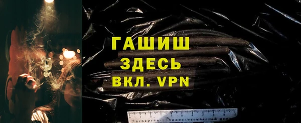 твердый Гусев