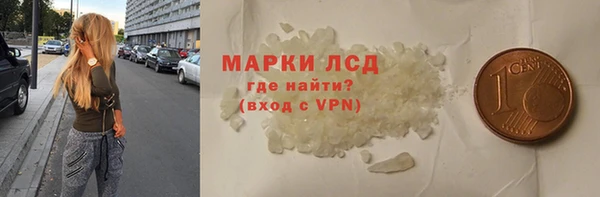 твердый Гусев