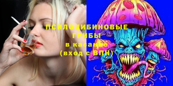 молекула духа Гусь-Хрустальный