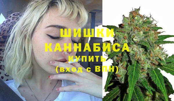 прущий лед Гусиноозёрск