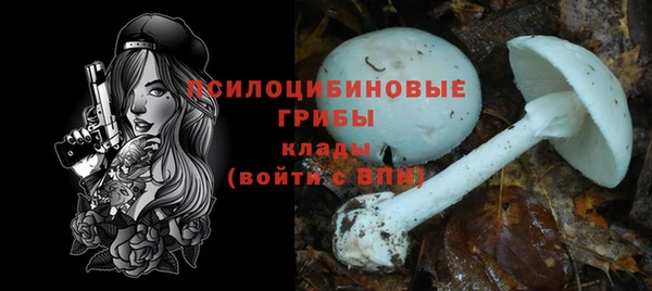 молекула духа Гусь-Хрустальный