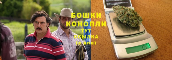 твердый Гусев