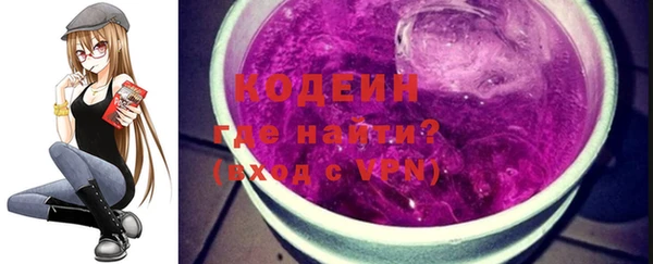 твердый Гусев